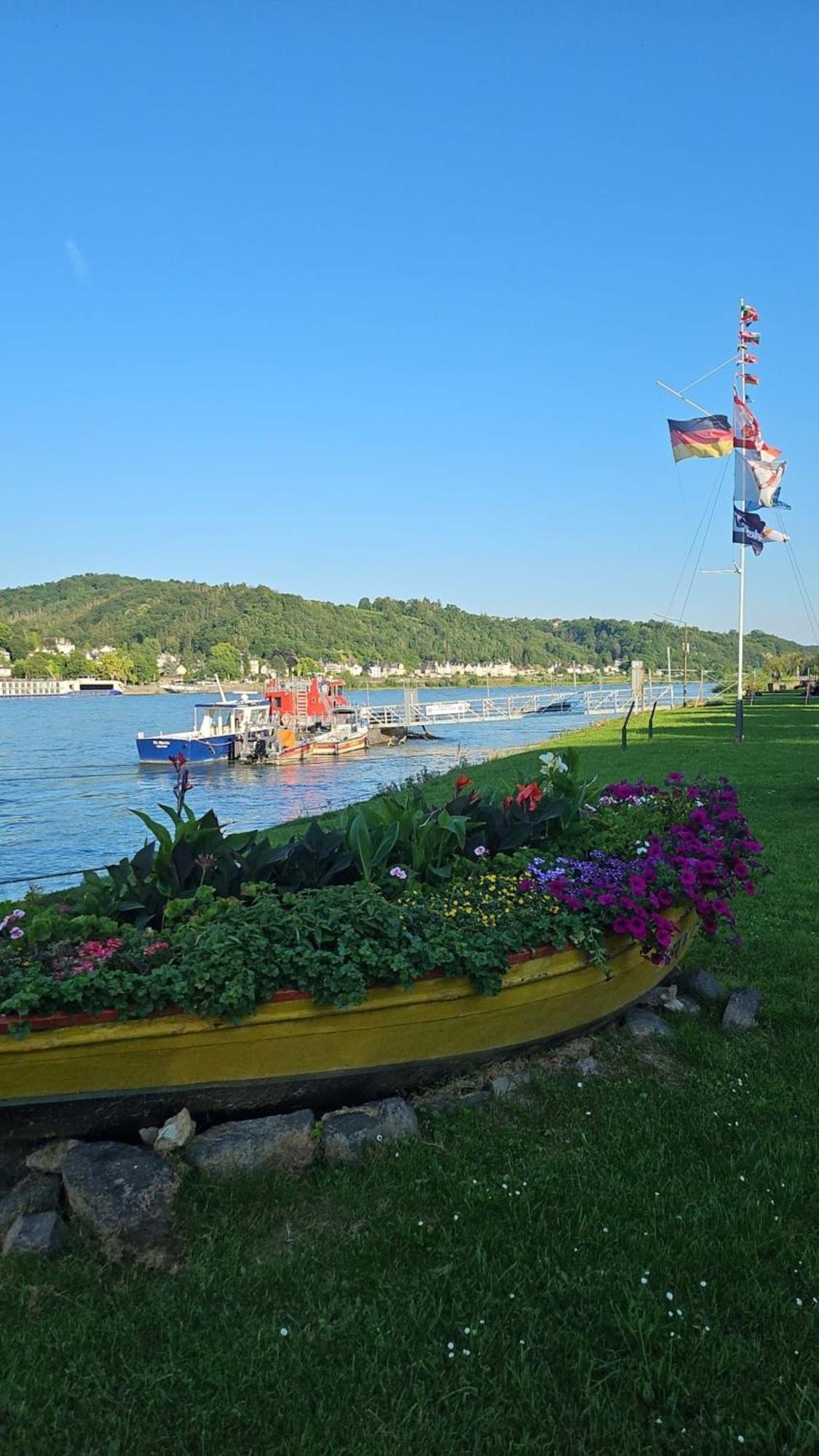 Ferienwohnung Mit Rheinblick In Remagen 1 Экстерьер фото